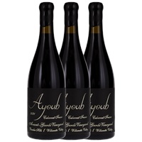2021 Ayoub Avant-Grande Vineyard Cabernet Franc