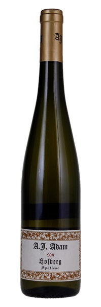2011 Weingut A.J. Adam Dhron Hofberg Riesling Spatlese #5, 750ml