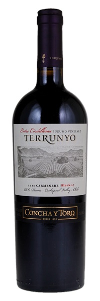 2011 Concha Y Toro Terrunyo Peumo Vineyard Carmenere, 750ml