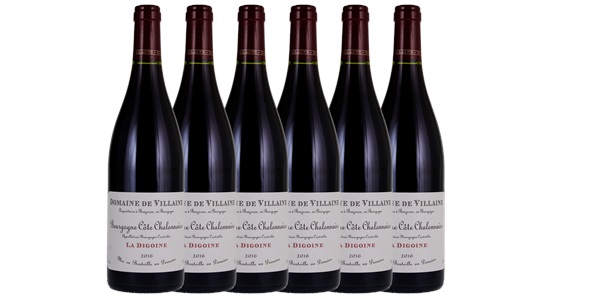 2016 Domaine A. & P. de Villaine Bourgogne Cote Chalonnaise La Digoine, 750ml