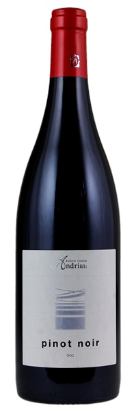 2013 Kellerei-Cantina Andrian Pinot Noir, 750ml