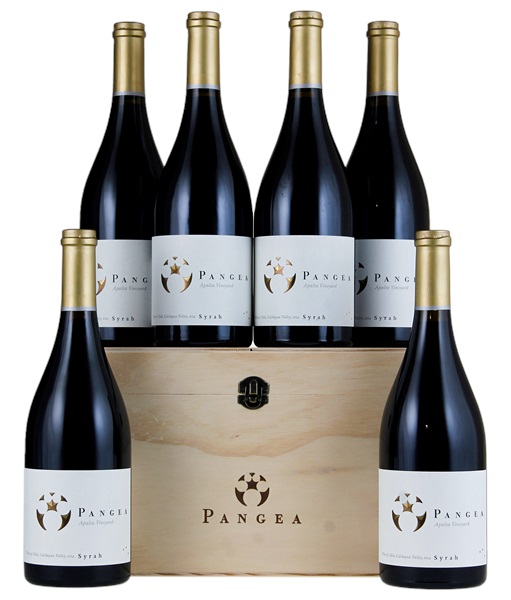 2014 Ventisquero Apalta Vineyards Pangea Syrah, 750ml