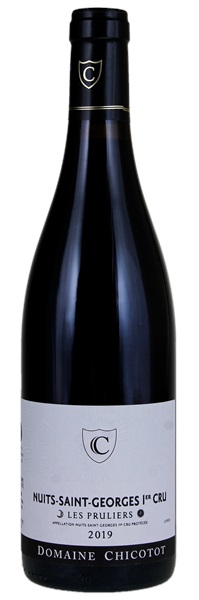 2019 Georges Chicotot Nuits-St.-Georges Les Pruliers, 750ml