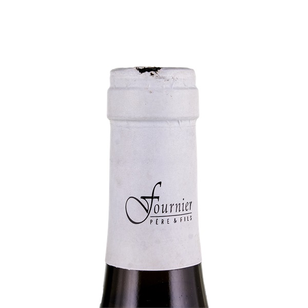 2010 Domaine Fournier Pere et Fils Sancerre Les Monts Damnes