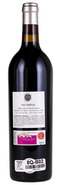 2013 Dominio de Pingus Amelia, 750ml