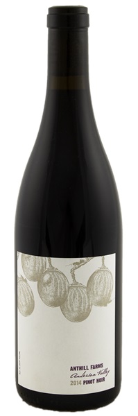 2014 Anthill Farms Anderson Valley Pinot Noir, 750ml