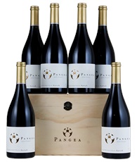 2014 Ventisquero Apalta Vineyards Pangea Syrah