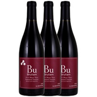 2014 Bruliam Soberanes Vineyard Pinot Noir