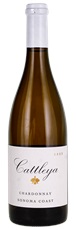 2023 Cattleya Sonoma Coast Chardonnay